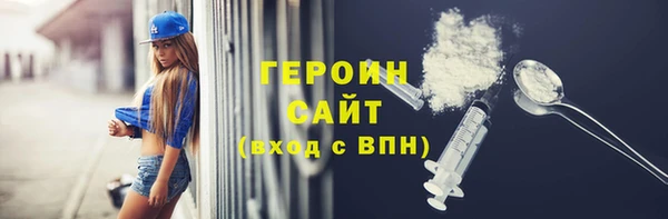 индика Гусь-Хрустальный